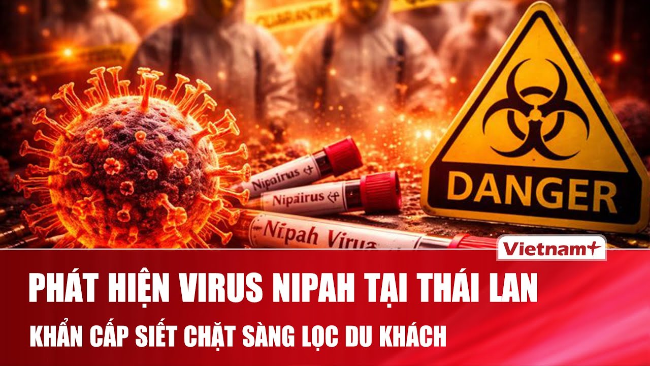 Thái Lan phát hiện virus Nipah: “Mầm dịch nguy hiểm” xuất hiện, siết chặt sàng lọc du khách