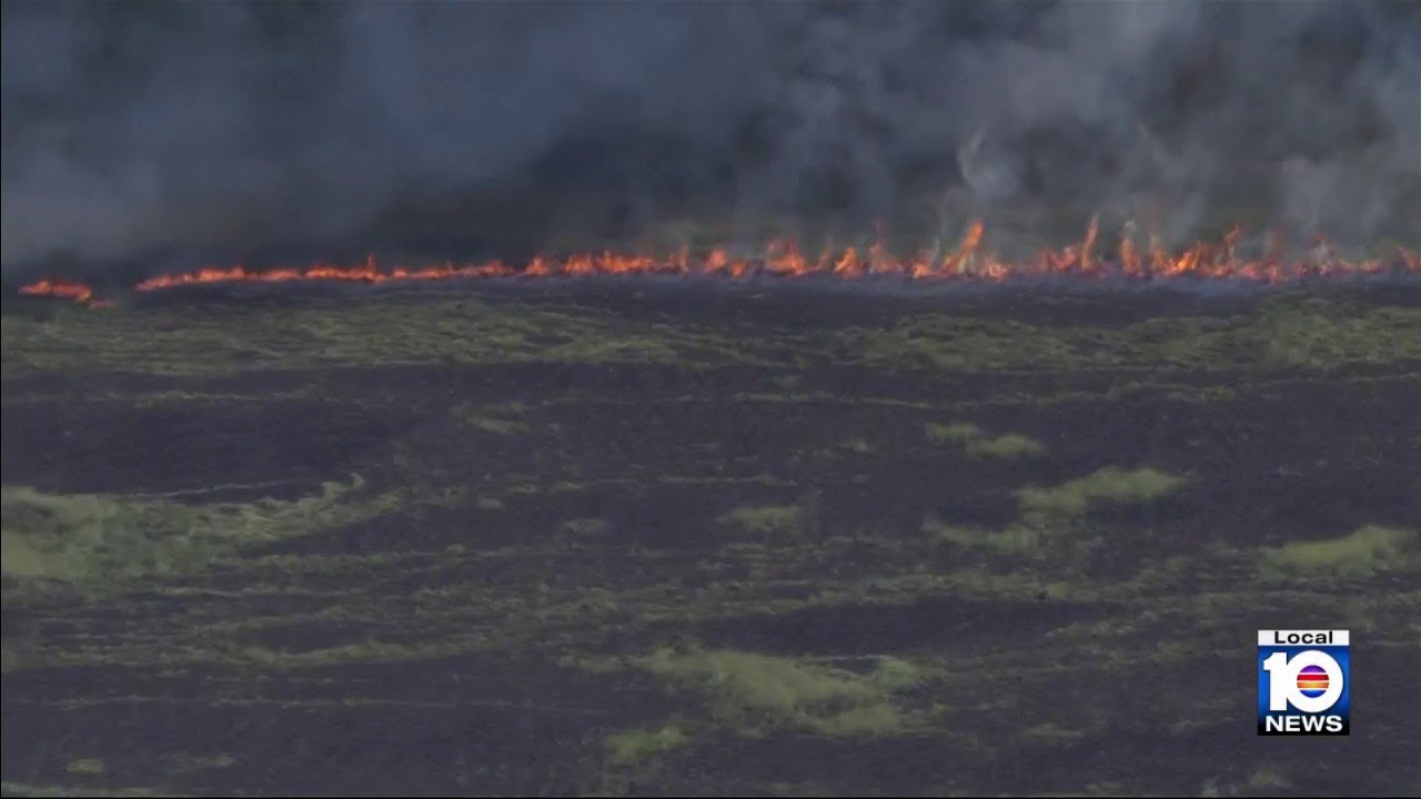 Everglades brush fire spreads to at least 19,200 acres