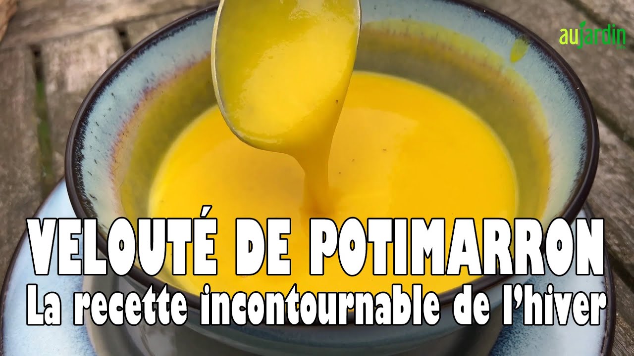 VELOUTÉ de POTIMARRON : la RECETTE INCONTOURNABLE de l’HIVER