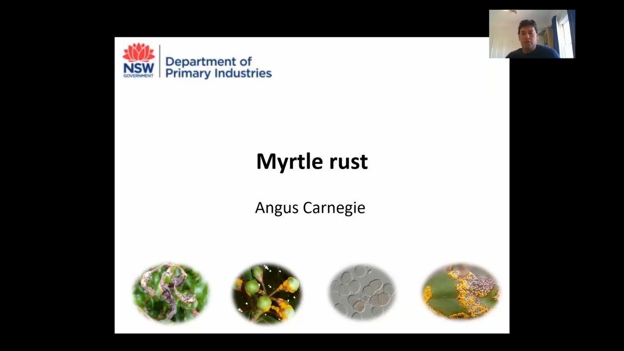 Botanic gardens biosecurity webinar 8 - Myrtle rust