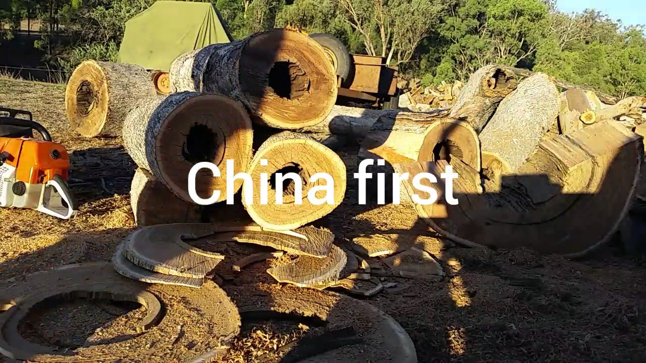 Chinese 660 (Mai-Mai) vs Stihl MS660
