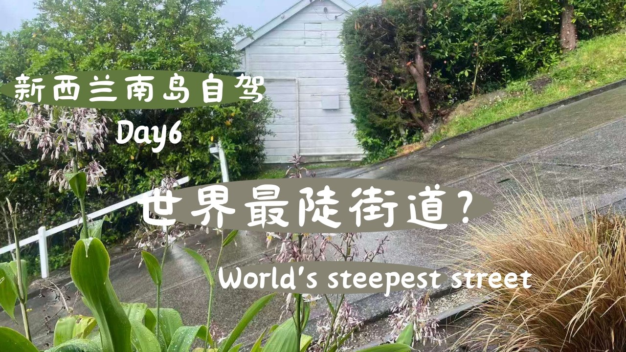 新西兰南岛自驾Day6， 漫步极具苏格兰风情的小镇达尼丁：汽车看了都发愁的世界最陡坡与最美火车站的碰撞，领略第一教堂的神圣之美。
