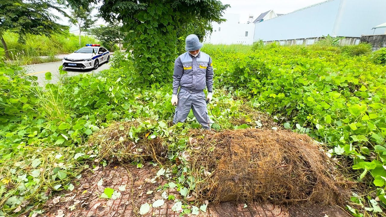 48-часовой челлендж: в одиночку очистить самый грязный тротуар в городе — и неожиданный финал
