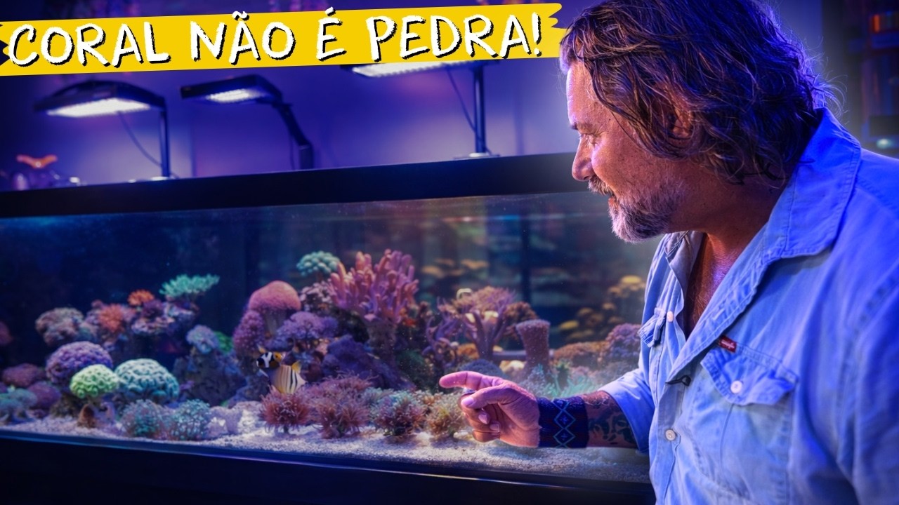 QUANTO CUSTA MONTAR UM AQUÁRIO MARINHO HOJE? 💡💸