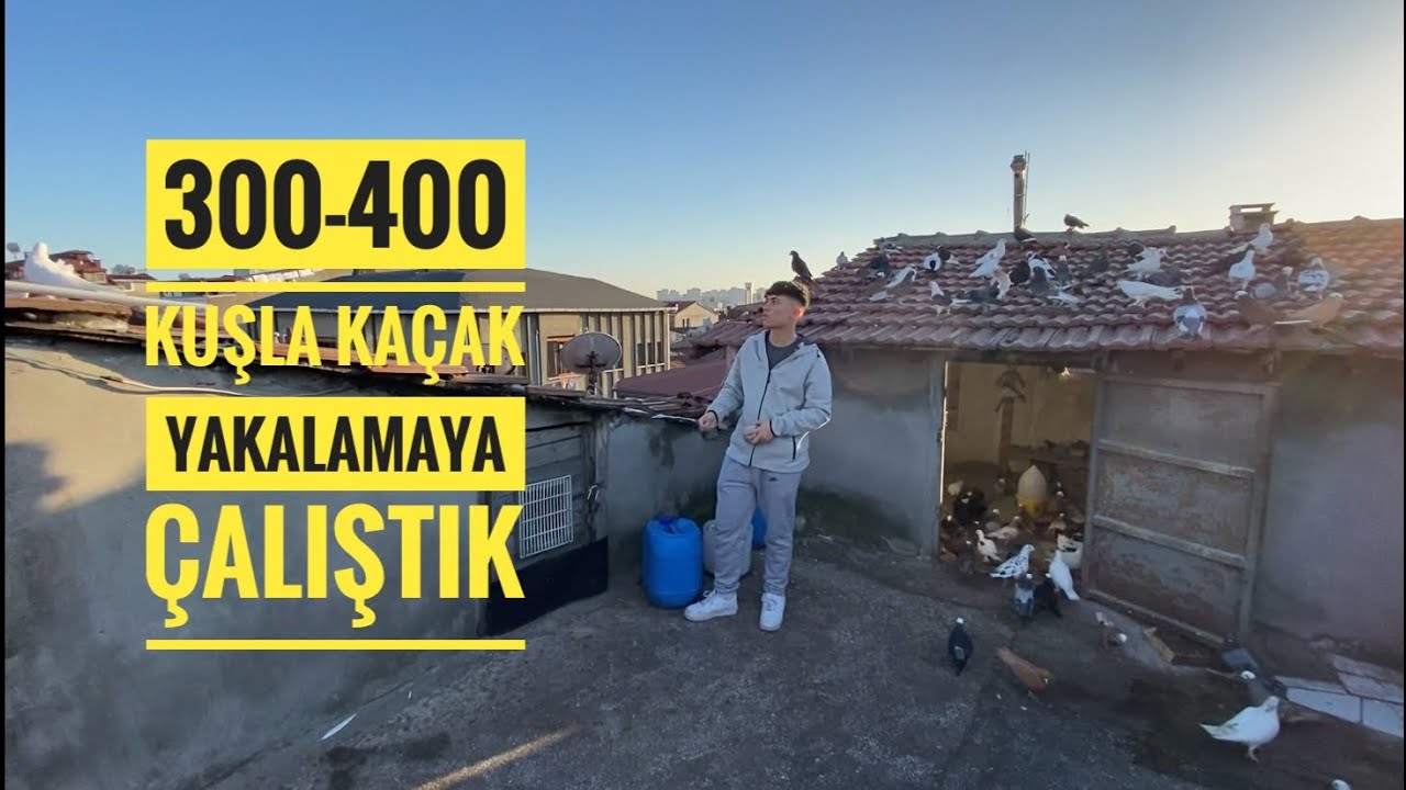 300-400 KUŞUN UÇTUĞU ÇATIYA ÇIKTIK KAÇAK YAKALADIKMI???