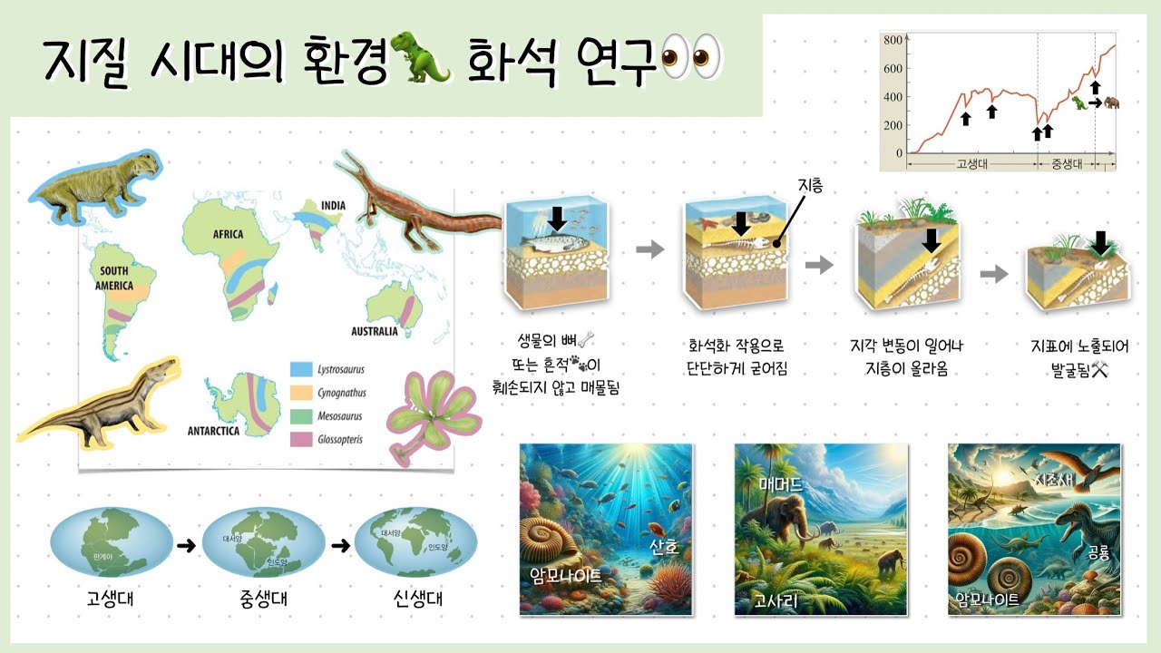 [통합과학2] 1-①강. 지질 시대의 환경🦖⎥화석 연구👀⎥선캄브리아대, 고생대, 중생대, 신생대🌋