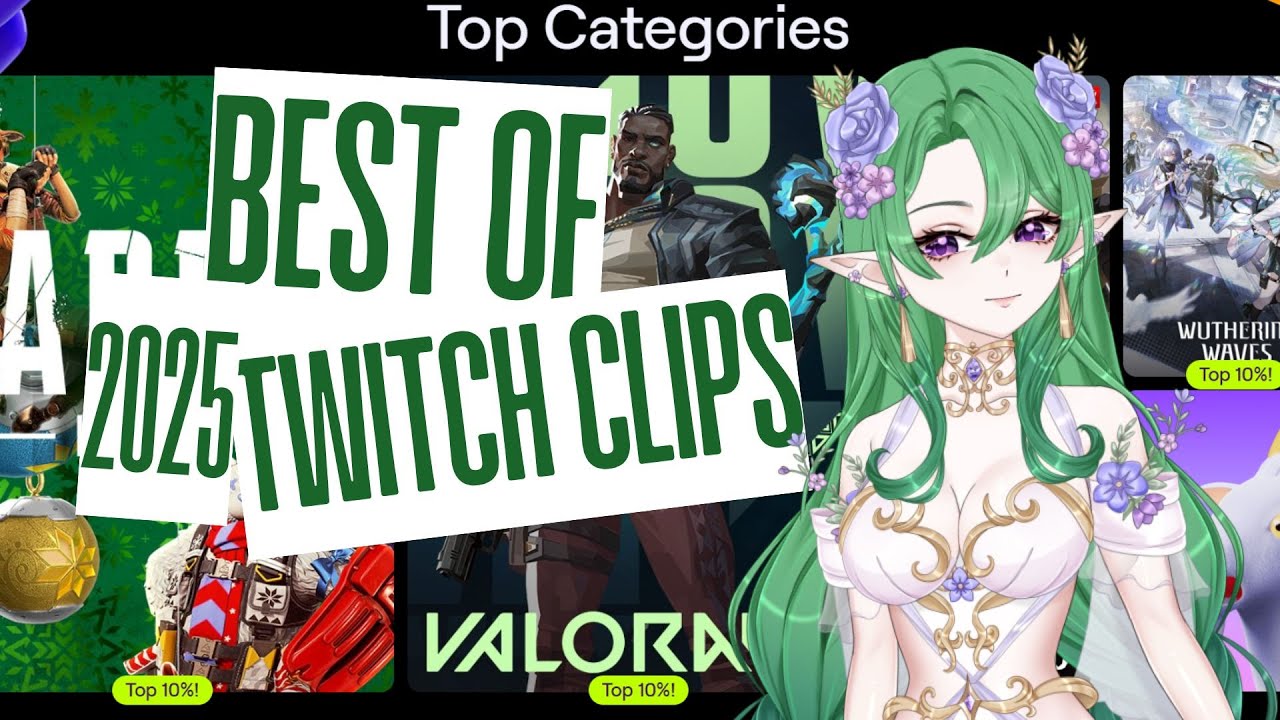 Best of 2025 Twitch Clips