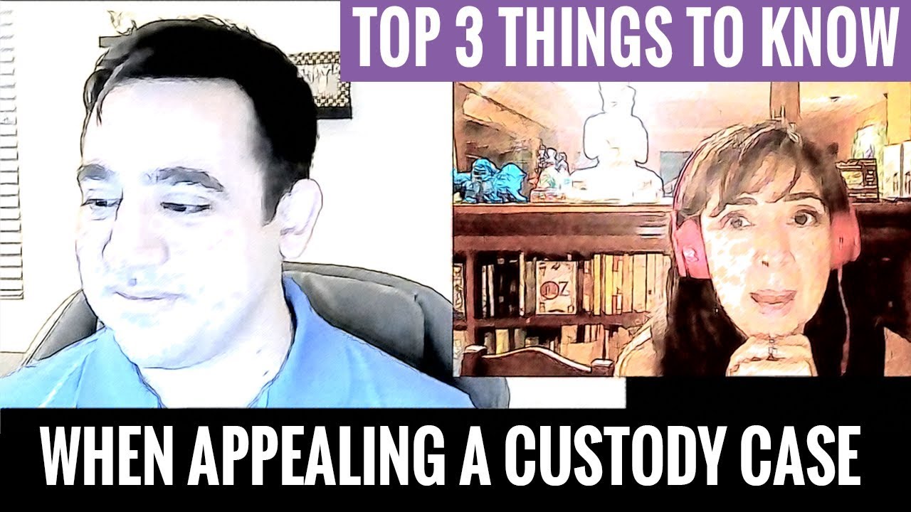 3 Things to Know When Appealing a Custody Case | Alex 