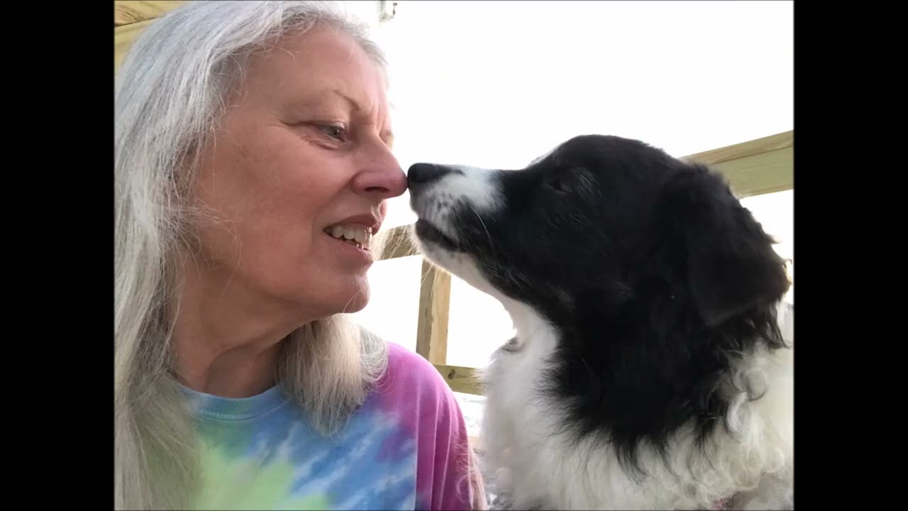 Lilly Celebration of life YT