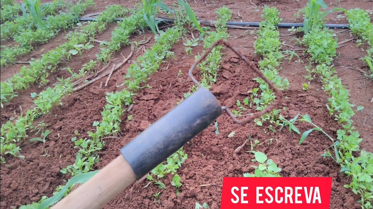 NINI ENXADA FEITA COM ARAME USADO  COM O ENXADA |NA ROÇA E TOP