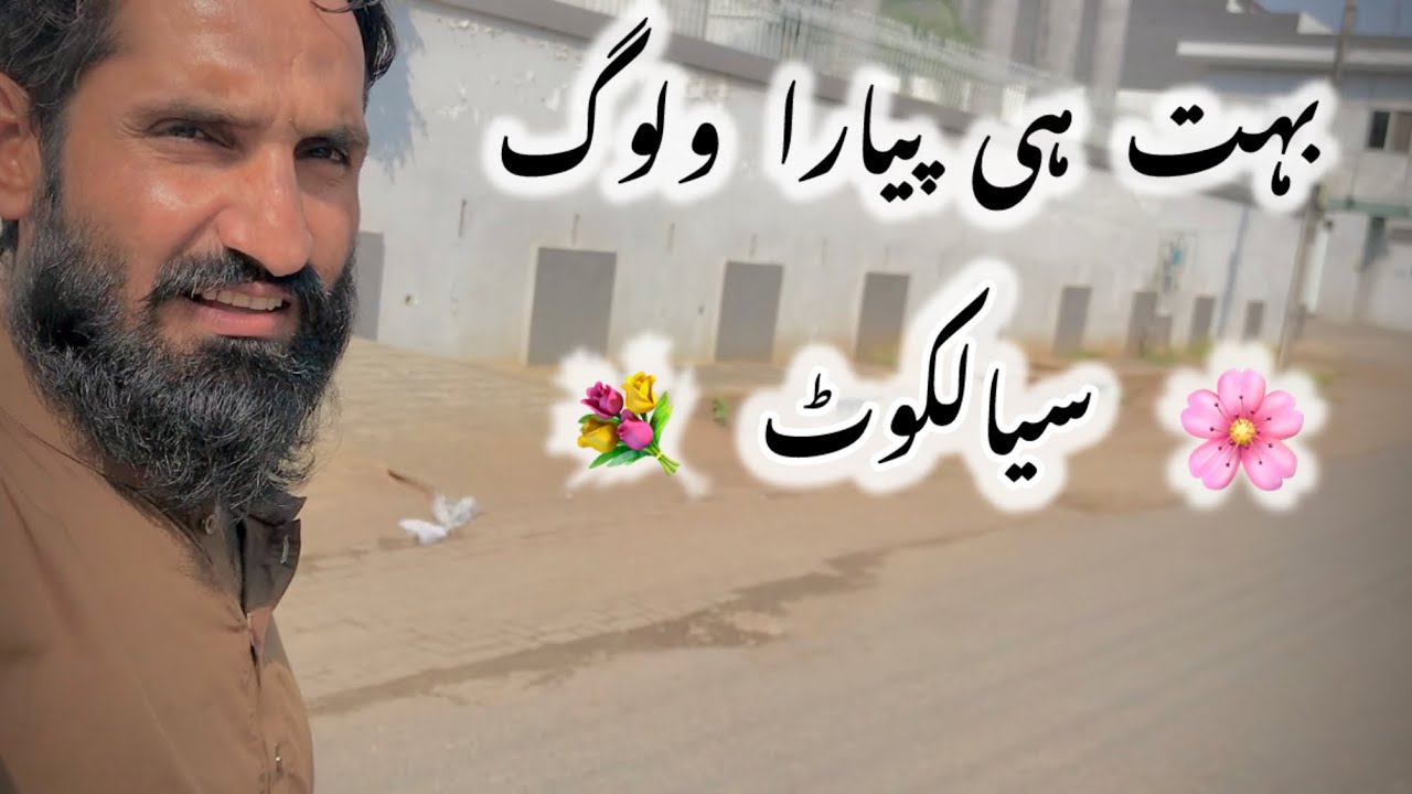 بہت ہی پیارا وگ ہے سپورٹ کر