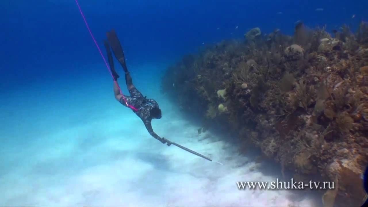 Подводная охота на Кубе часть 4. Spearfishing in Cuba