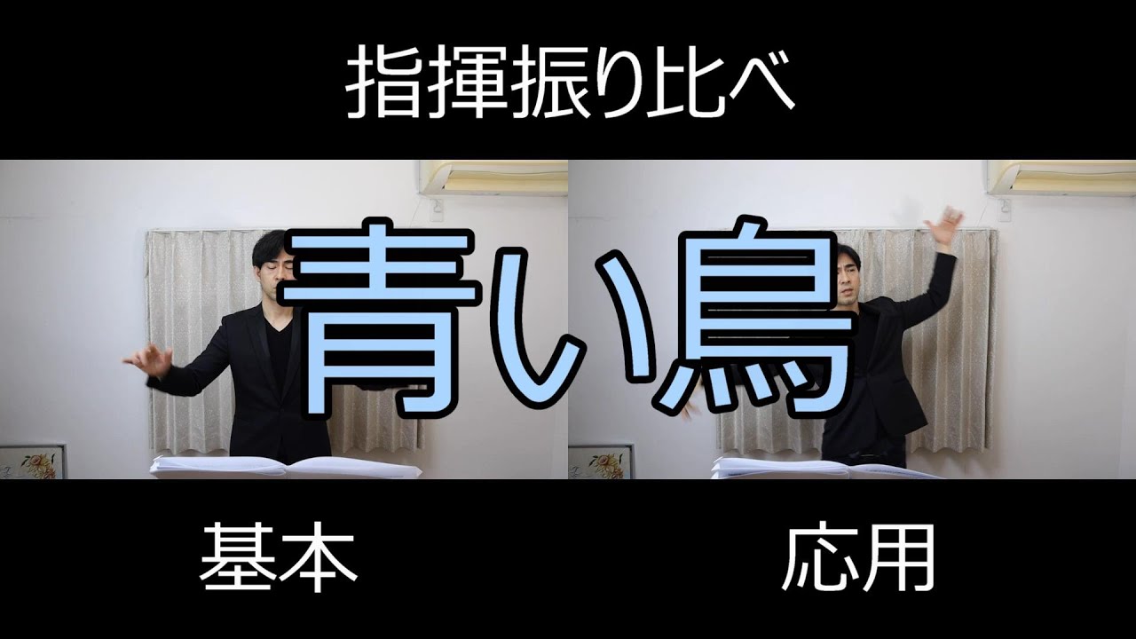 見て学ぶ指揮法・指揮振り比べ「青い鳥」 基本・応用