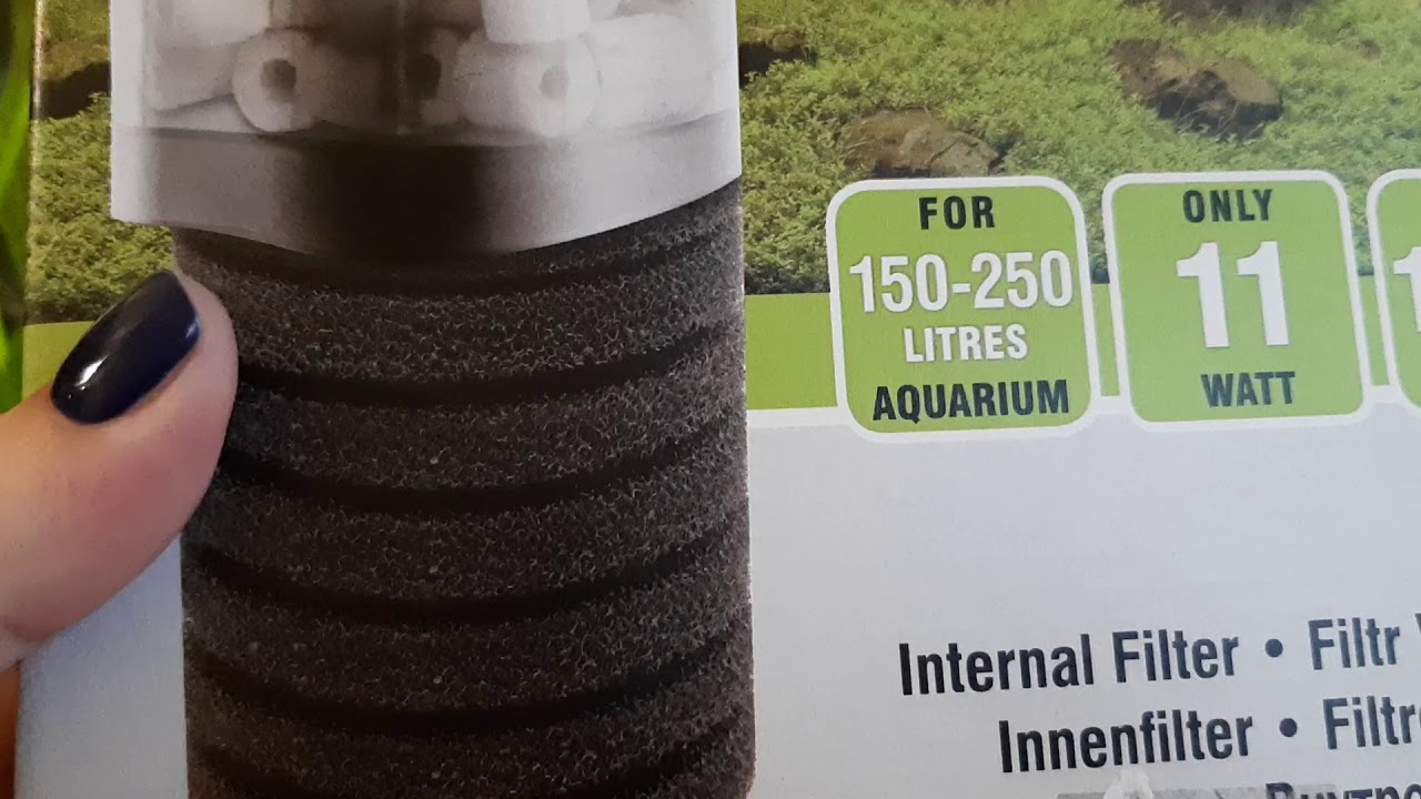 Безопасная замена внутреннего фильтра в аквариуме.#Будни аквариума.#AQUAEL #TURBO FILTER 1000🙂🙃😉
