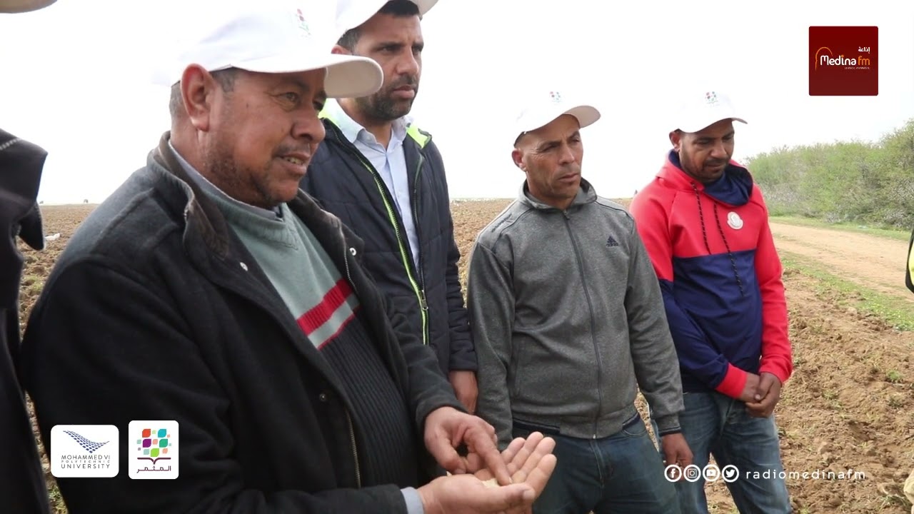 زراعة الكينوا...  مبادرة المثمر تطلق أول تجربة  بإقليم العرائش بحضور عدد من الفلاحيين