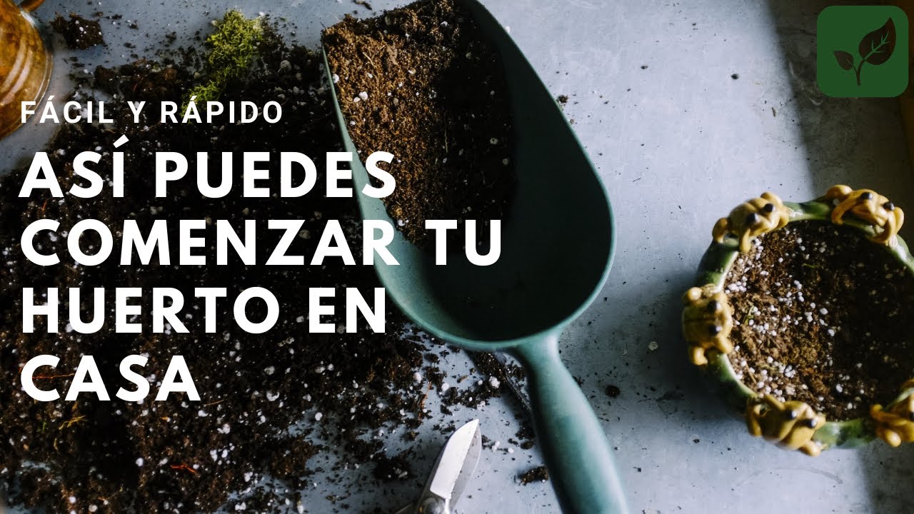 ASÍ DE FÁCIL PUEDES COMENZAR TU HUERTO Y COSECHAR TUS PROPIOS ALIMENTOS EN CASA