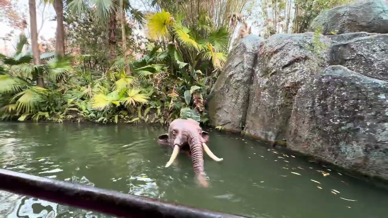 Disney jungle ride 3