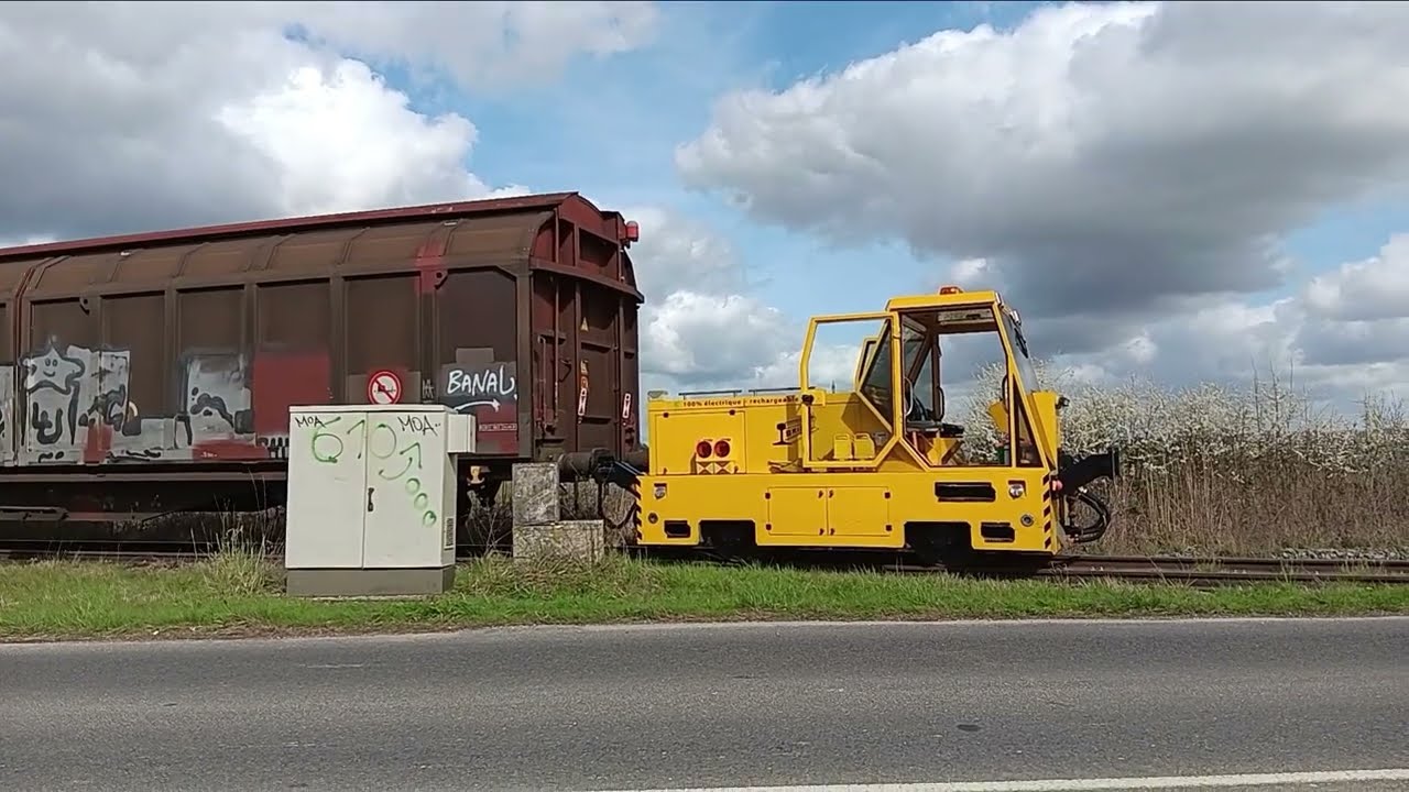 Petite  ?  Mais costaud !
