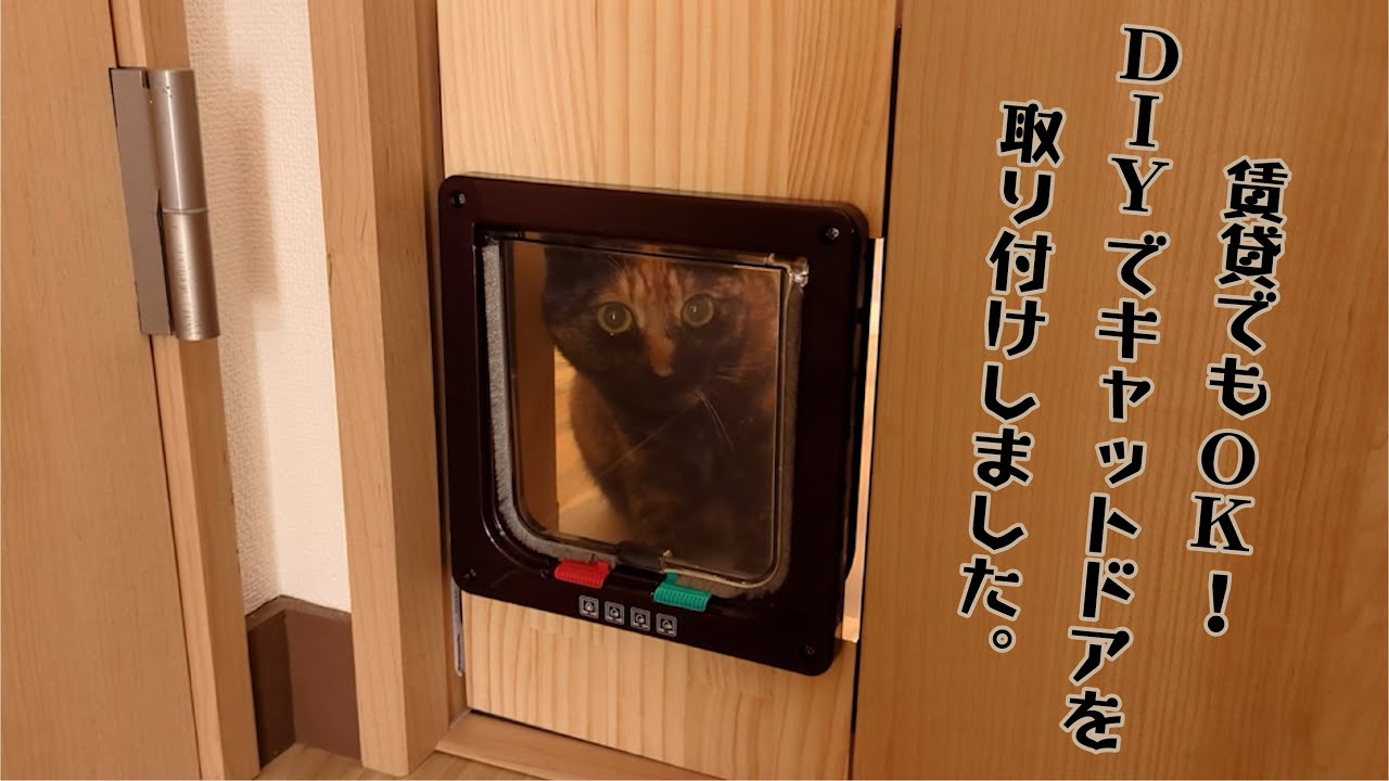 【猫】賃貸でもOK！DIYでキャットドアを取り付けしました。