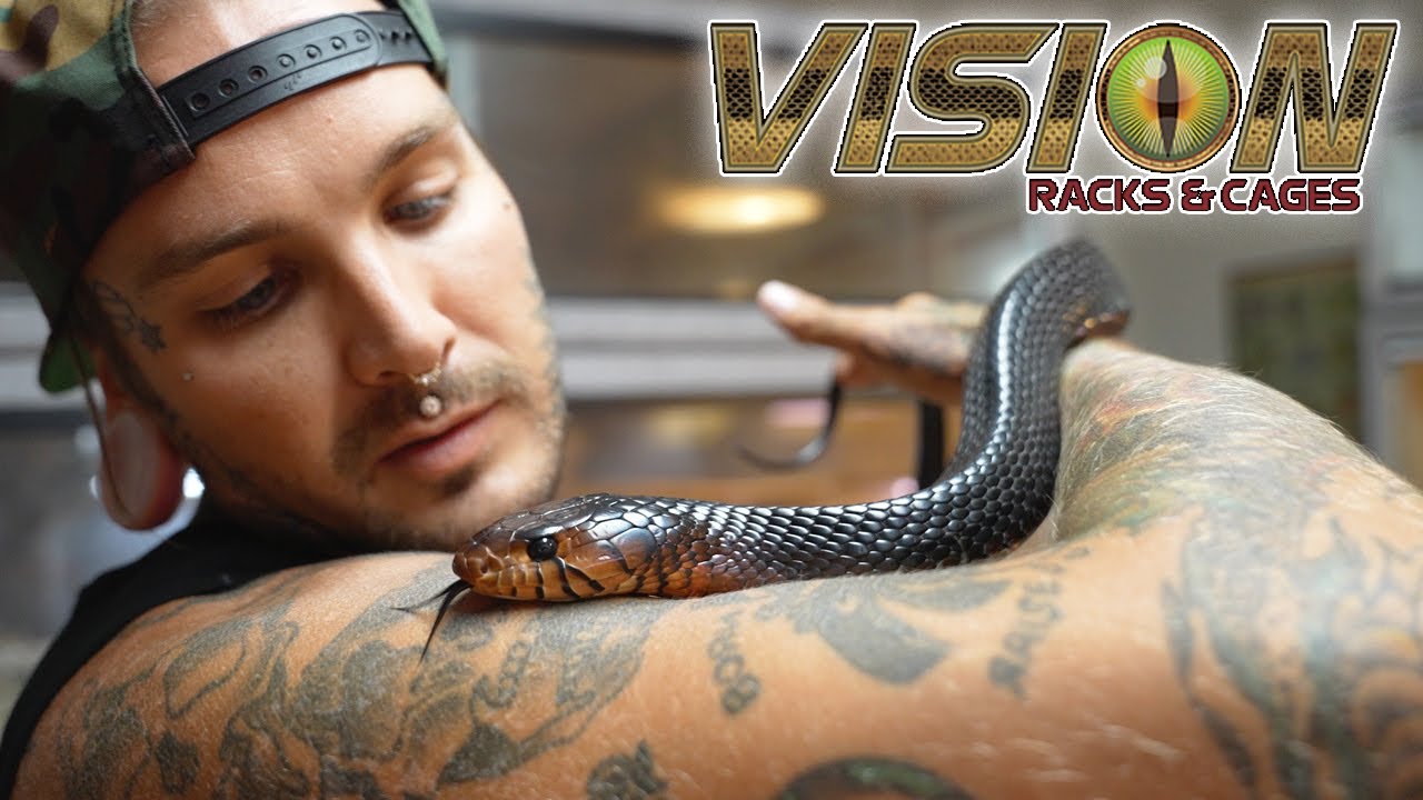 SPOILING my INDIGO SNAKE with a NEW HUGE VISION ENCLOSURE !! | Tyler Nolan |