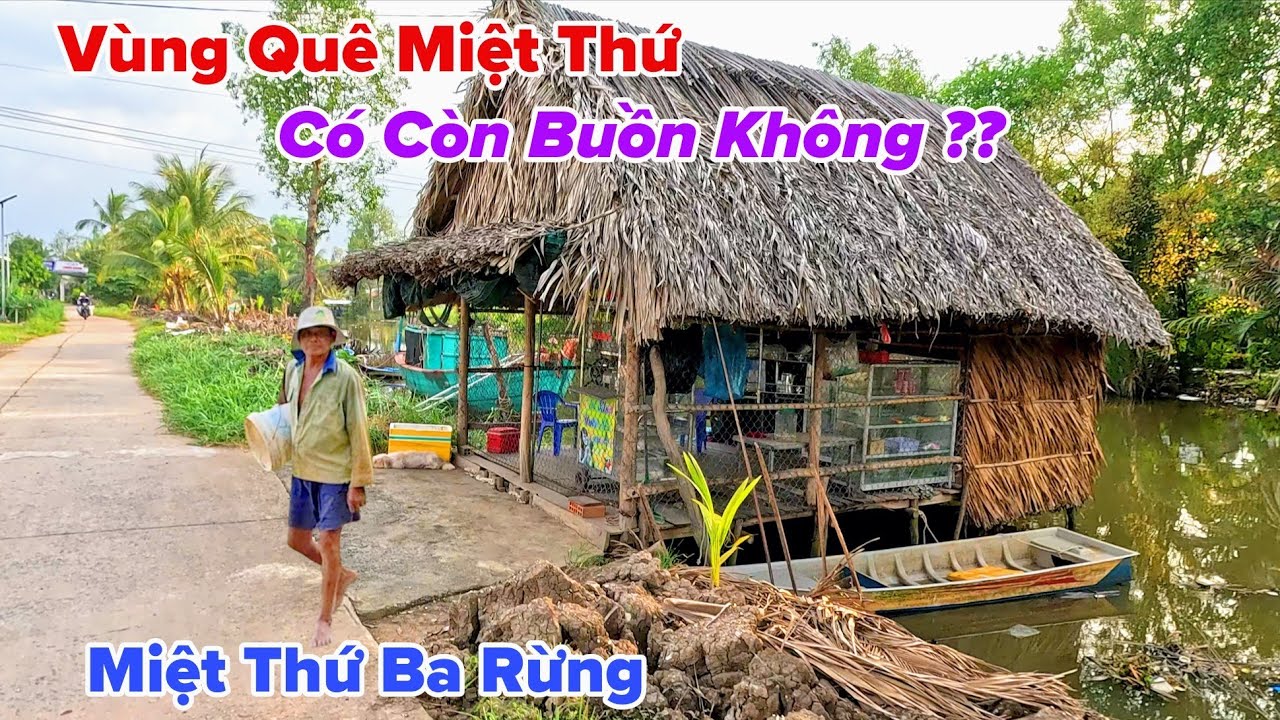 Vùng Miệt Thứ Ba Rừng Bây Giờ Có Còn Buồn Không?