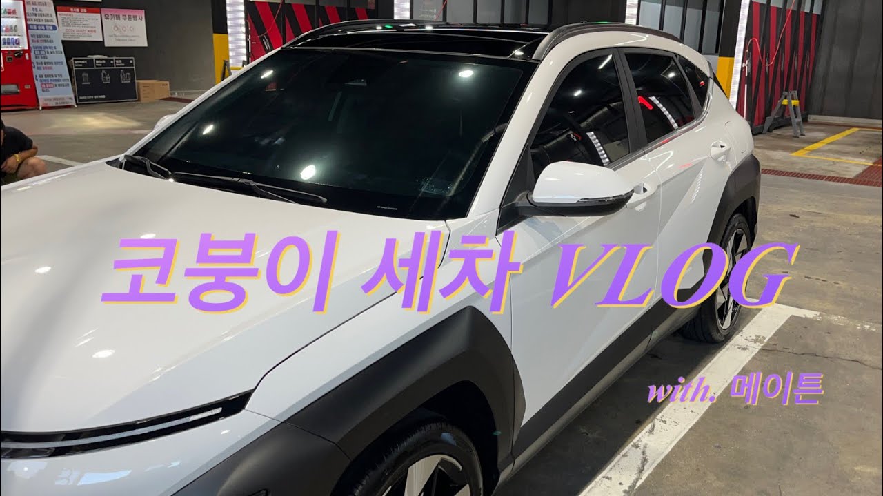 디올뉴 코나 세차하기, 코나 필수 차량용품