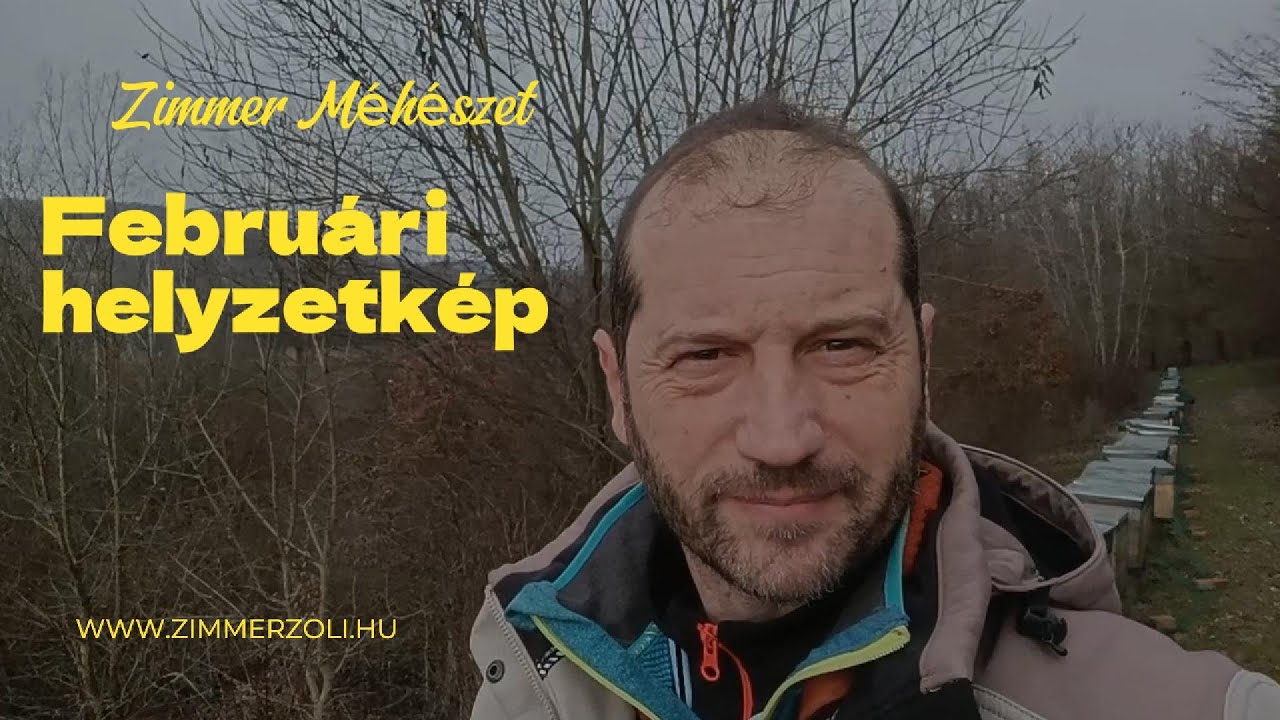 Miért nem családszámban gondolkodunk, hanem keretben, fiasításban?