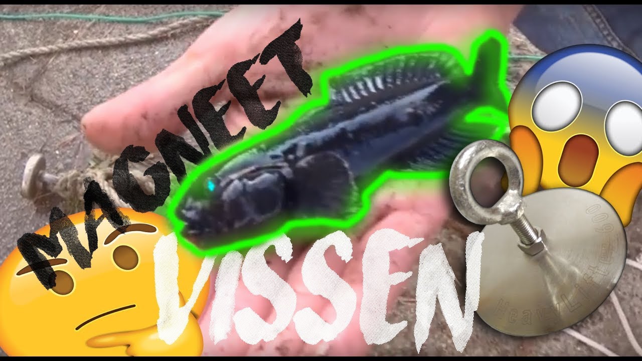 Magneet Vissen|vis gevangen aan de magneet?!
