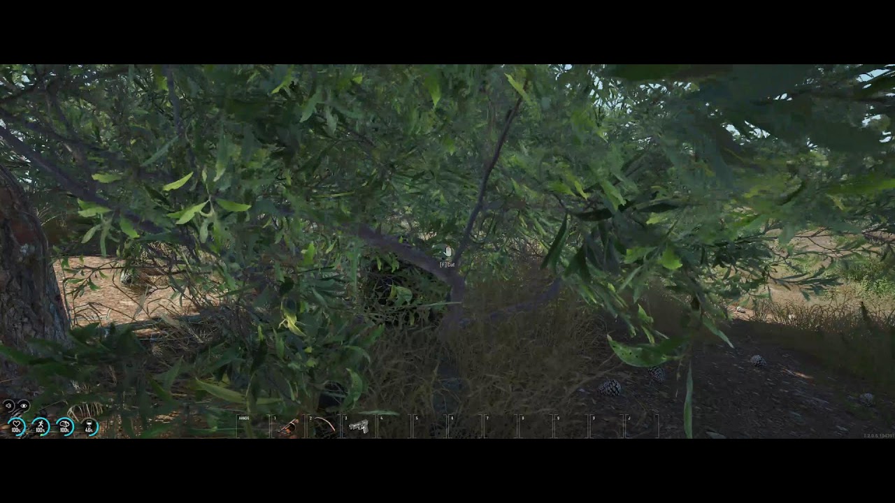 SCUM Livestream