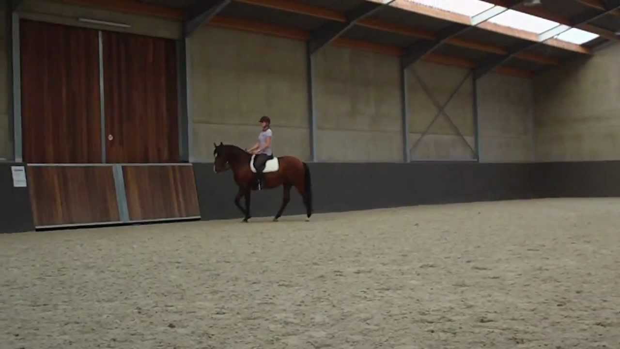 Clinic Anja Beran