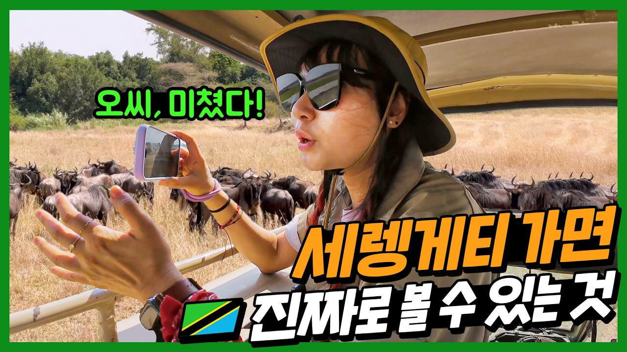 🇹🇿 (현장감 미쳤음) 세렝게티 사파리가 진짜로 동물의 왕국인 이유! | 세계여행 아프리카 4