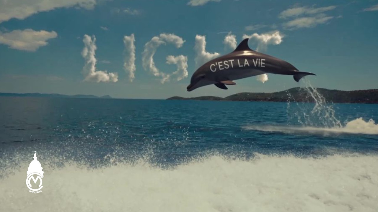 Light - C'est La Vie (Official Music Video)