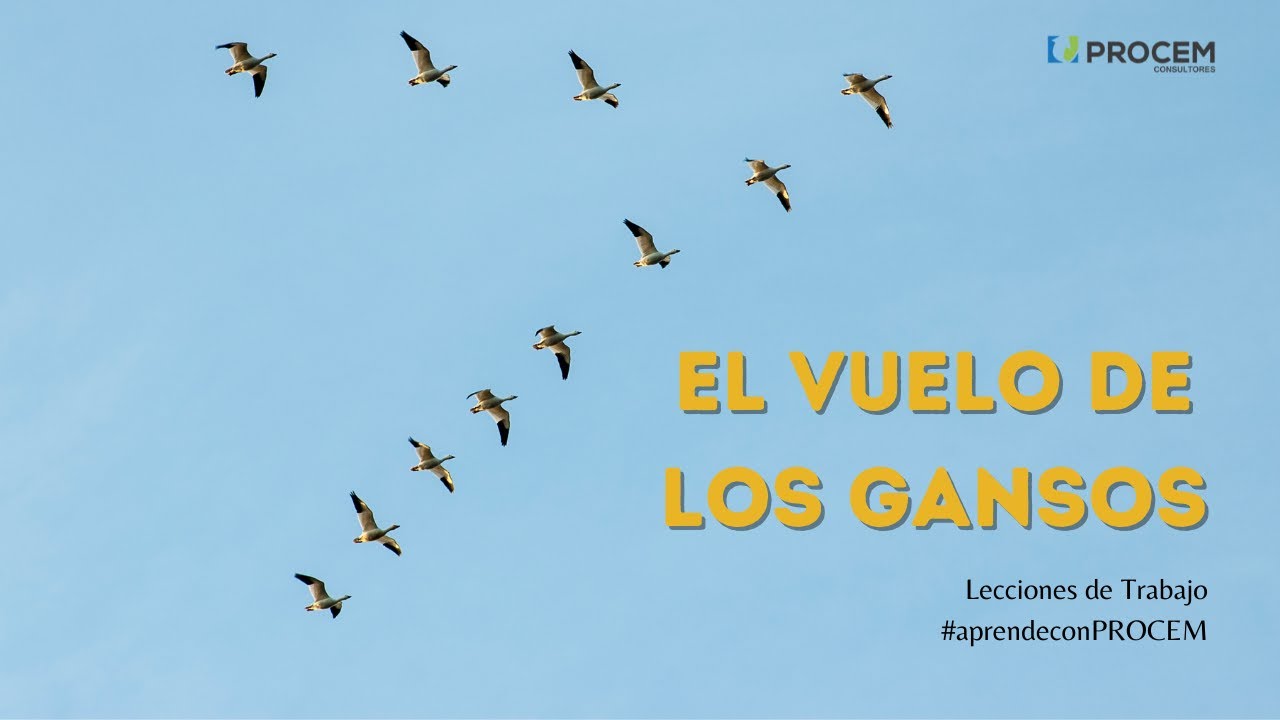 El vuelo de los gansos 🦢 - Lecciones de Trabajo