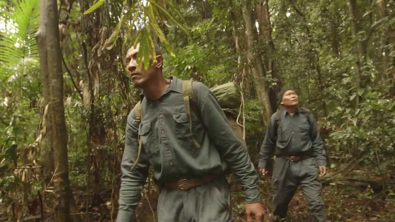 The Jungle Trailer - Coming Soon