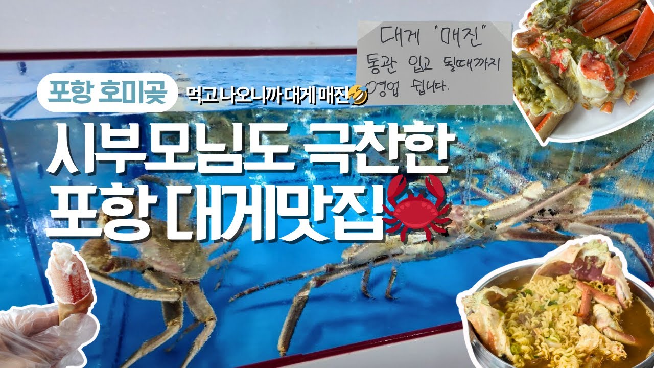 호미곶!!! 대게 매진 실화?🦀 포항여행 필수코스! 시부모님 만족도 200% | 구룡포 대게마트 #포항여행  #대게맛집