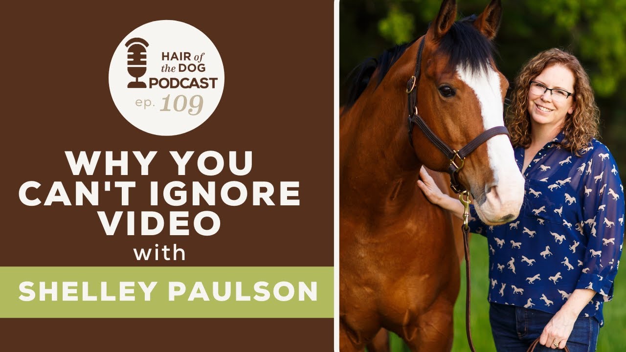 Why You Can't Ignore Video with Shelley Paulson / Pet Photography Business - HOD Podcast