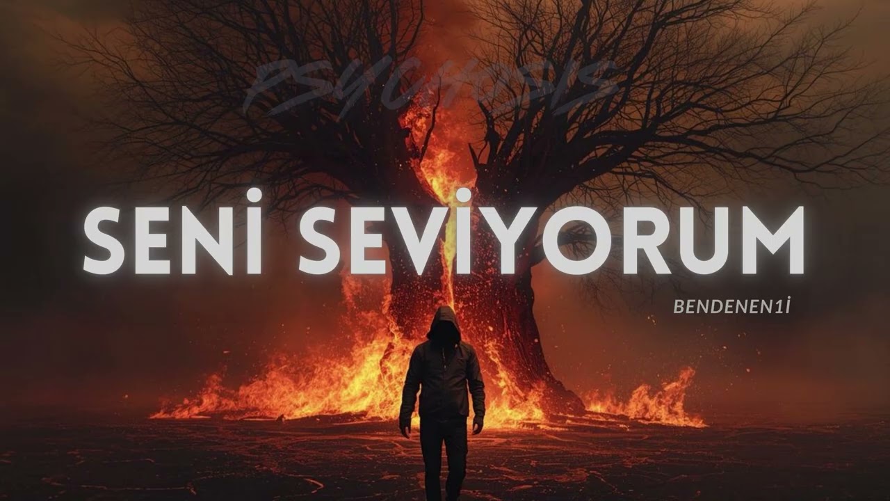 Bendenen1i - Seni Seviyorum