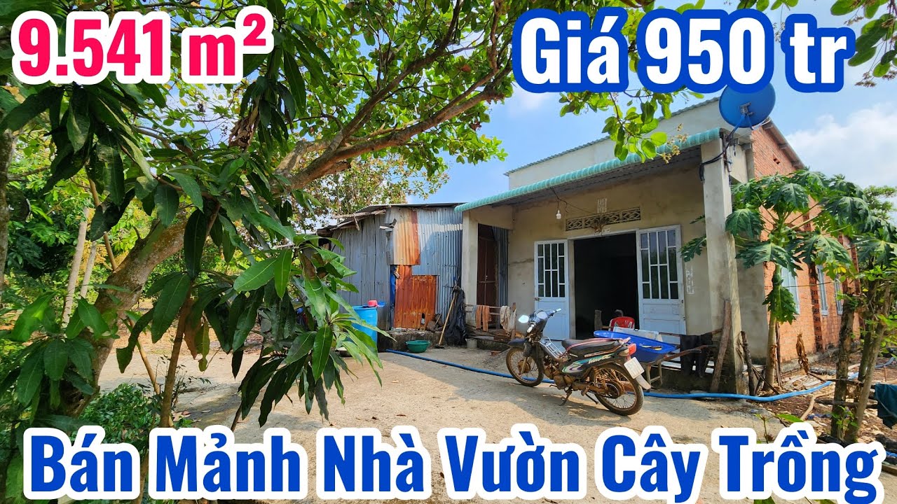 Số 28. Bán Nhà Vườn cây trồng tiêu.điều .Mặt tiền nhiều gần tiện ích Dt=9541m² giá 950tr bao sổ