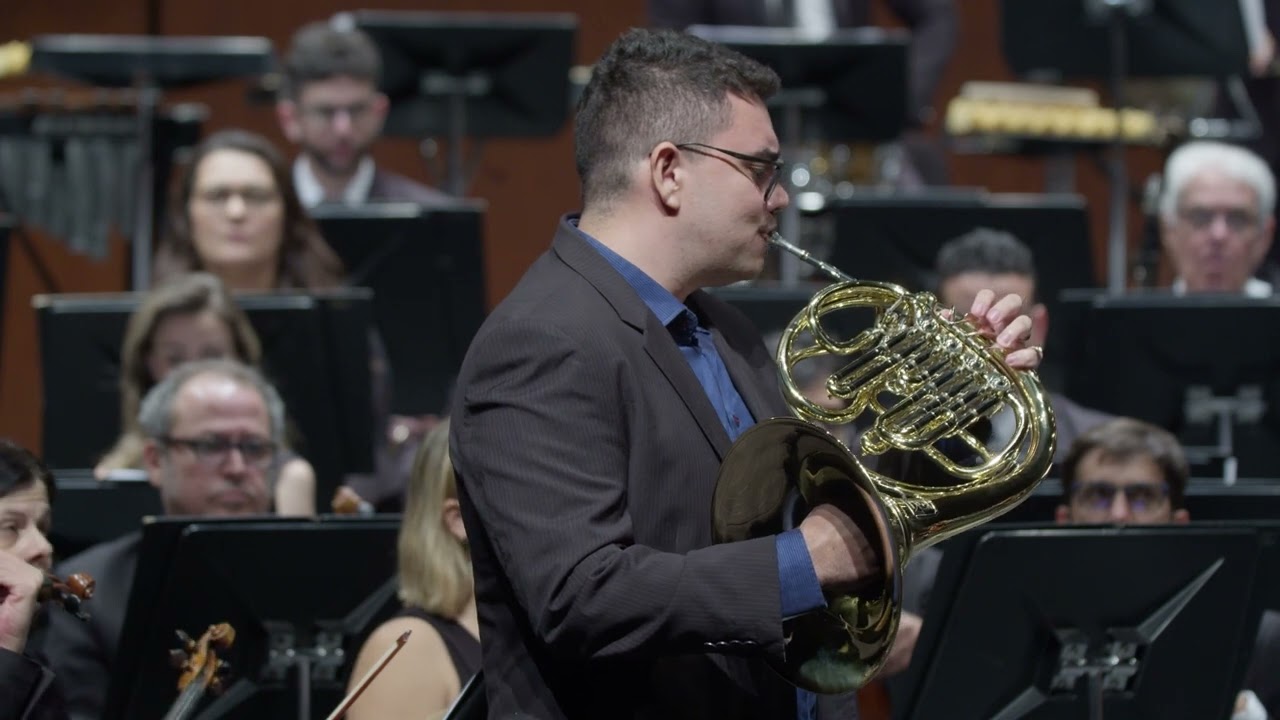 FERNANDO DEDDOS Concerto para trompa e orquestra. Solista: Radegundis Tavares. Maestro: Sérgio Gomes