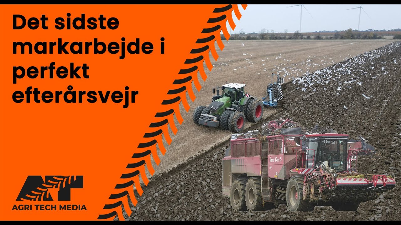 🇩🇰 Det sidste markarbejde i perfekt efterårsvejr