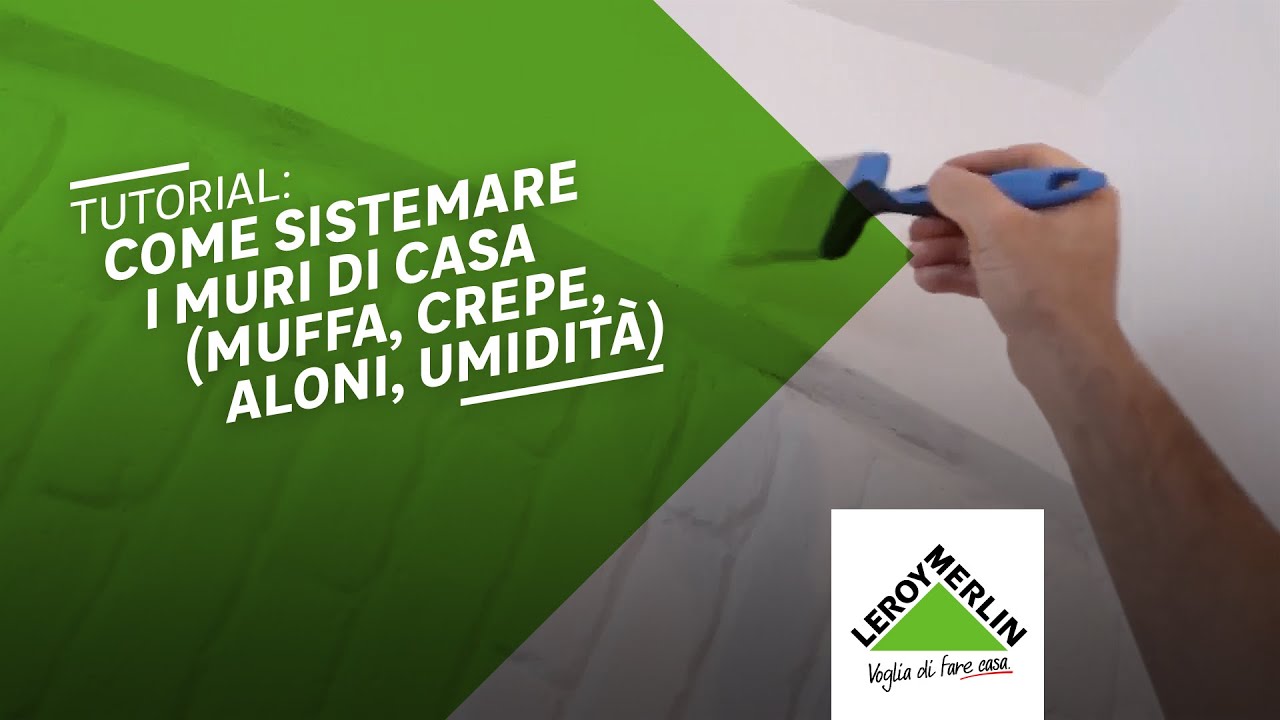 Come stuccare un muro e rimuovere muffa e umidità dalle pareti | Leroy Merlin
