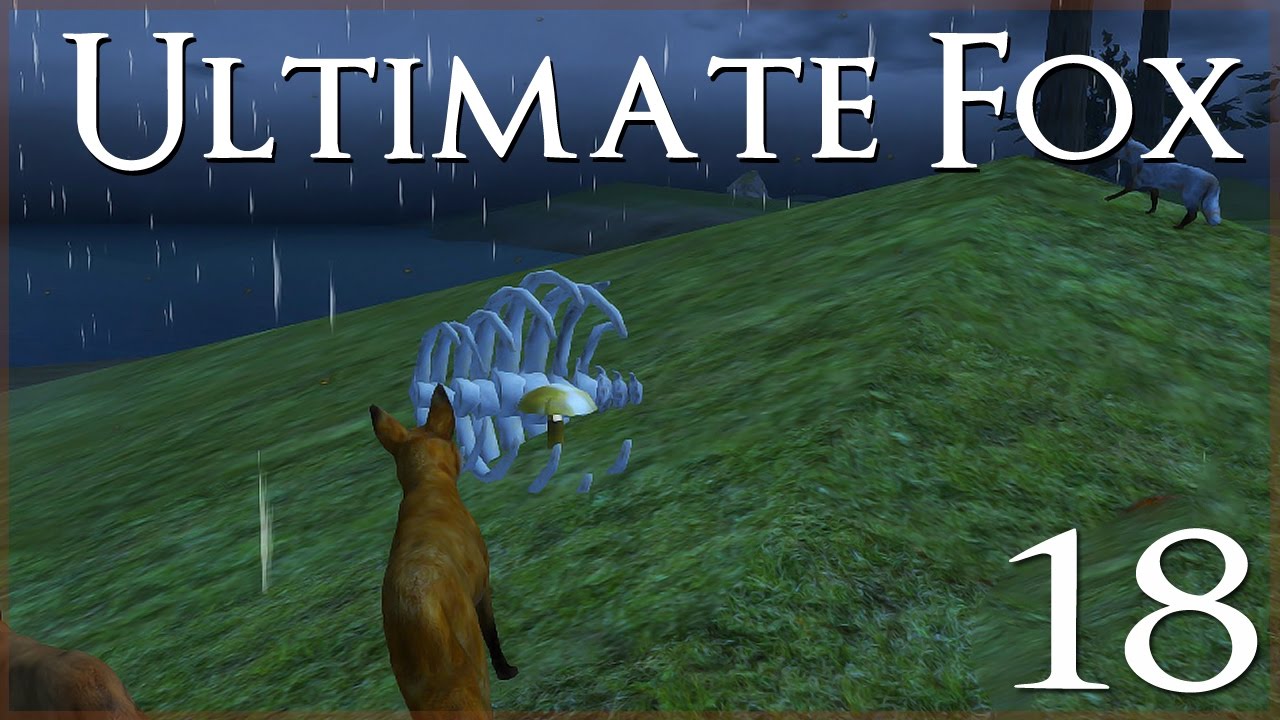 Mysterious Legends of the Golden Mushrooms • Ultimate Fox Simulator - Episode #18