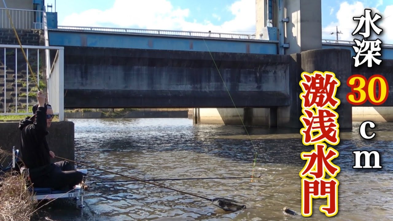 水深30cmしかない激浅の水門で乗っ込みで遡上してくるヘラブナを狙う【上備前川】
