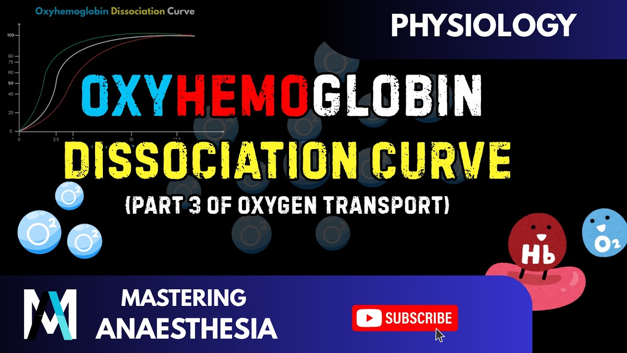 OXYHEMOGLOBIN DISSOCIATION CURVE | Oxygen Transport Part 3 | Respiratory Physiology made EASY