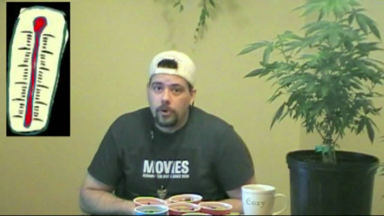 Part 1 Germination Methods 101 & Spotting Males from Females