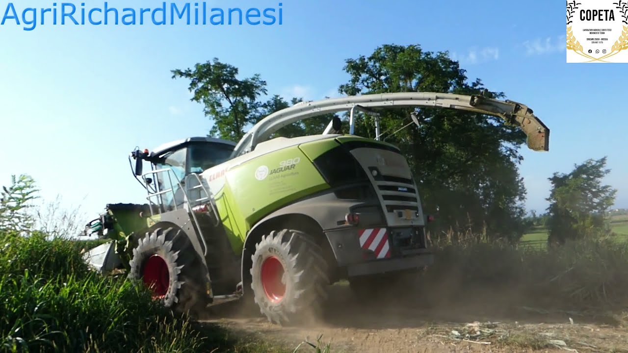 |TRINCIATURA MAIS 2021 AZIENDA AGRICOLA MAZZETTI|AGROMECCANICA COPETA|ENJOY|BYAGRIRICHARDMILANESI|😎