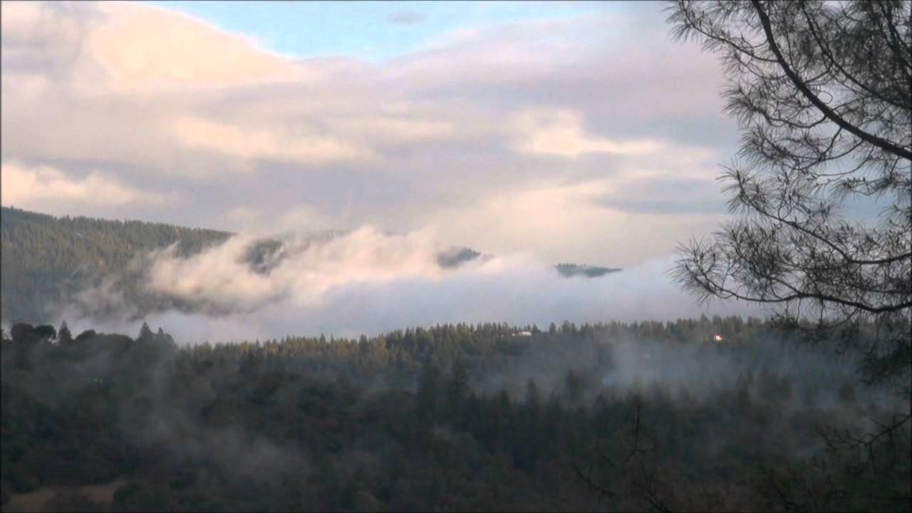 Bears View 1 23 12