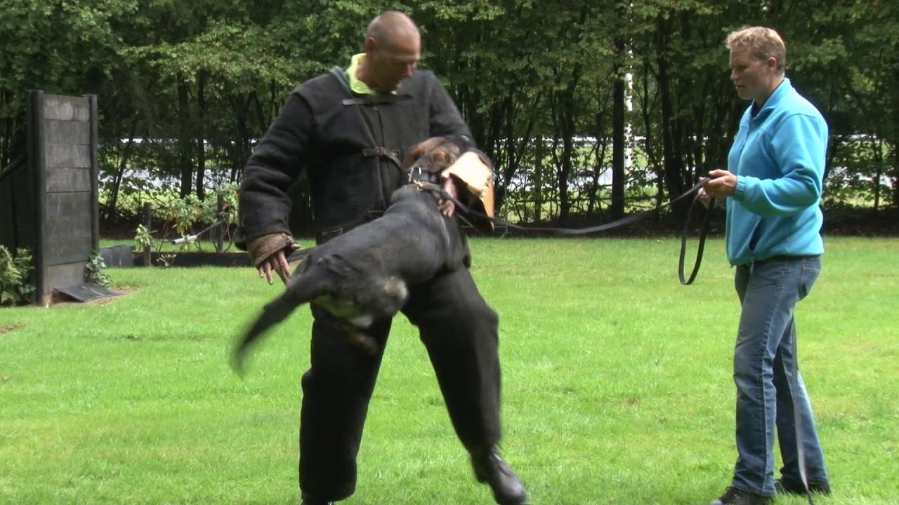 Politie Honden Vereniging