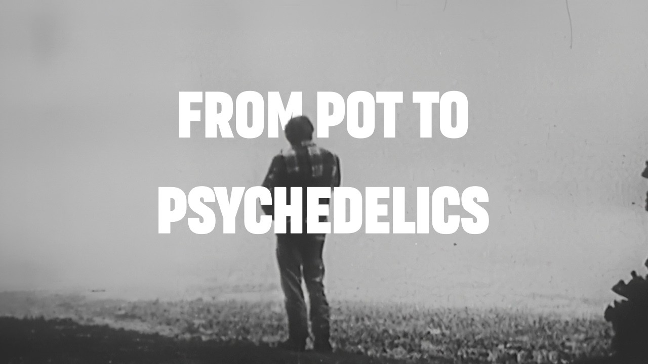 From Pot to Psychedelics | A Vintage NET Documentary on Cannabis & Psychedelic Culture [Enhanced]