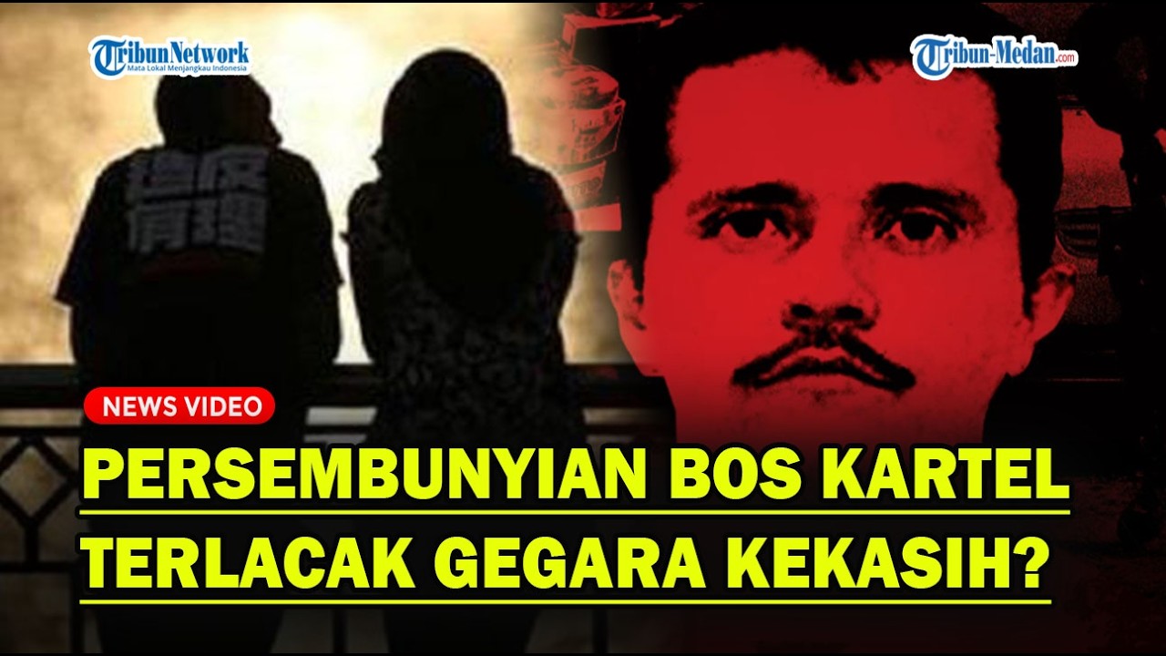 PERSEMBUNYIAN BOS KARTEL Terlacak Gara-gara Kekasih❓